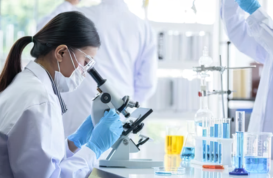 The Magic in Science - Grade 8